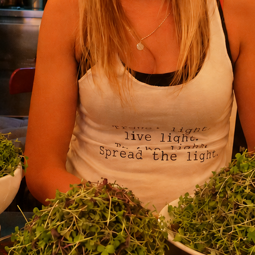 Broccoli Microgreens - 8 x Punnets  ( Calabrese )